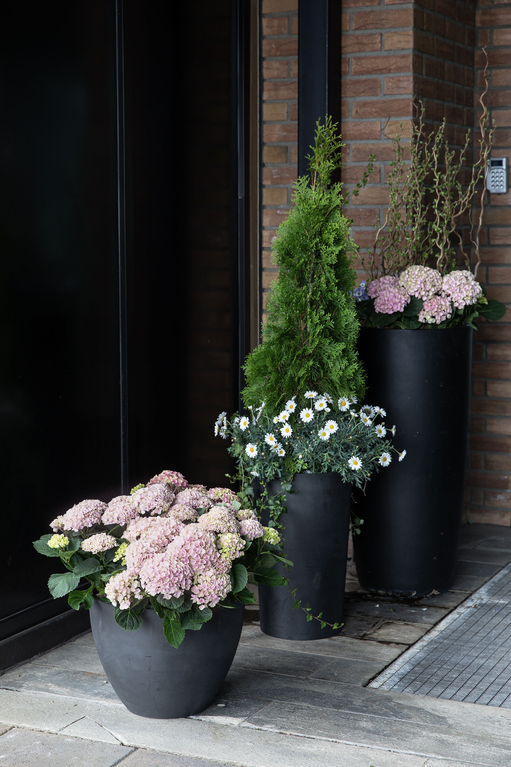 Blomster inngangsparti