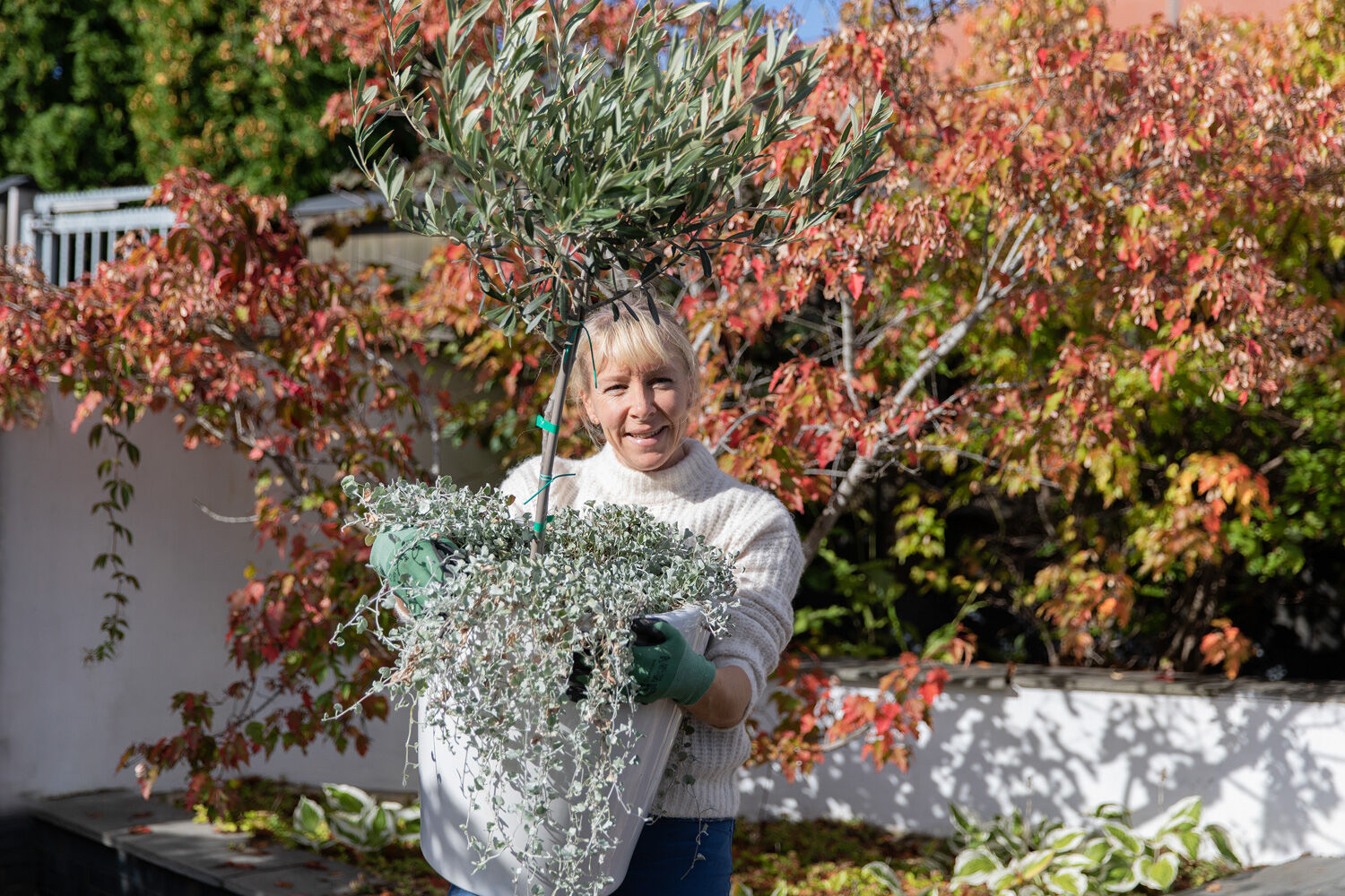 overvintring planter