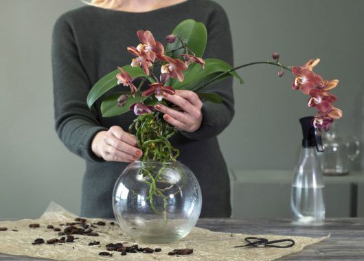 Sett orkid&eacute;en ned i en egnet glassvase