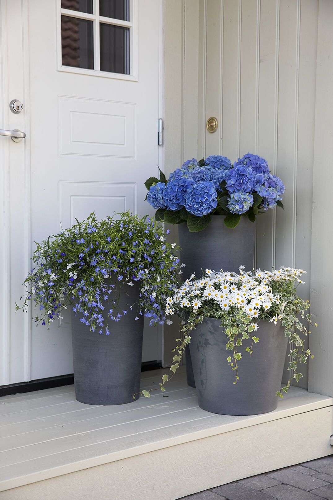 Sommerblomster i store utepotter