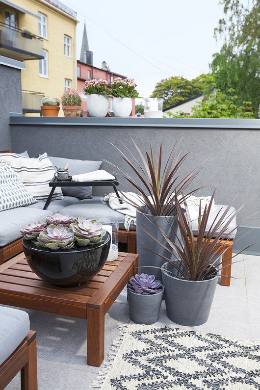 balkong med sukkulenter og gr&oslash;nne planter