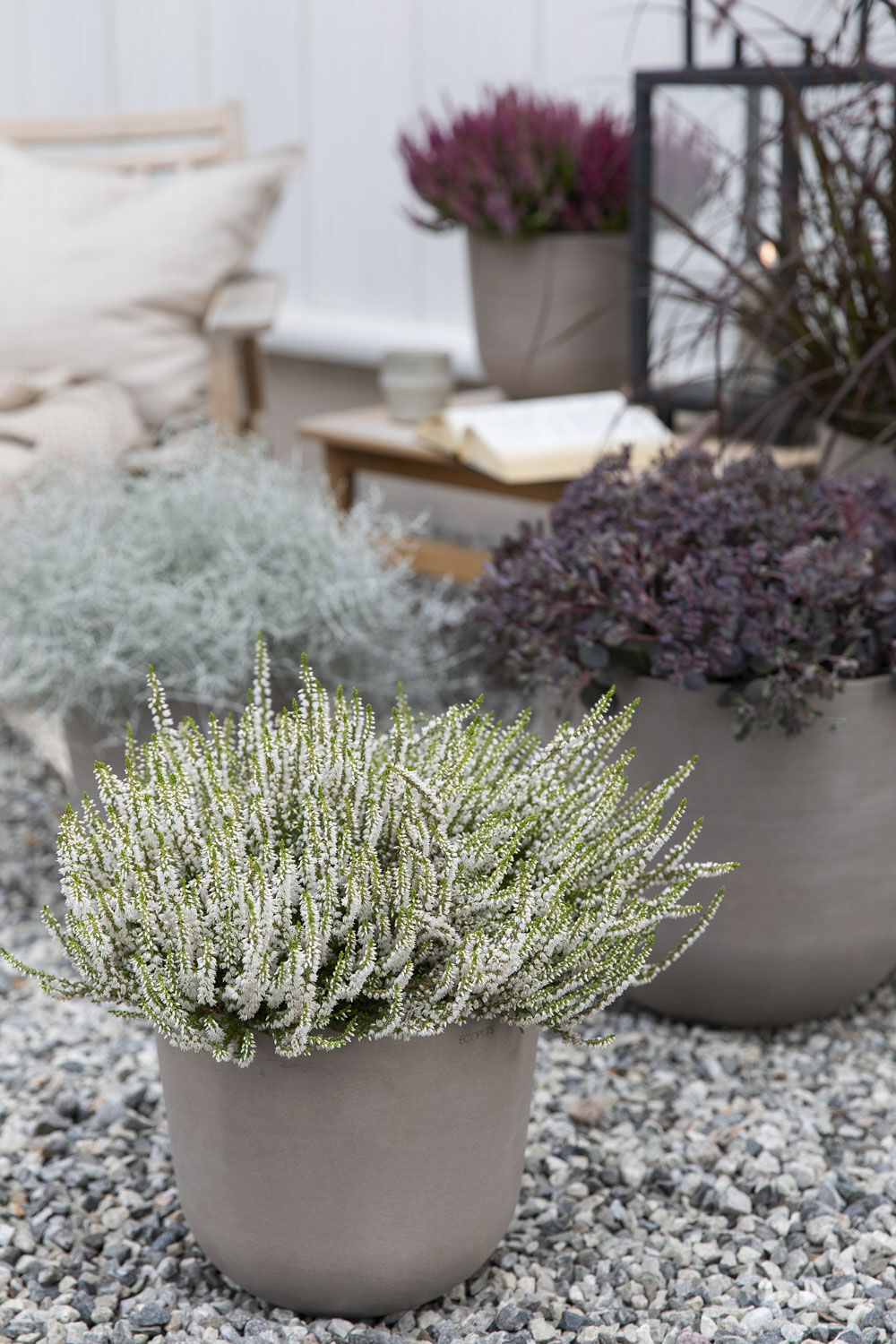 H&oslash;stblomster