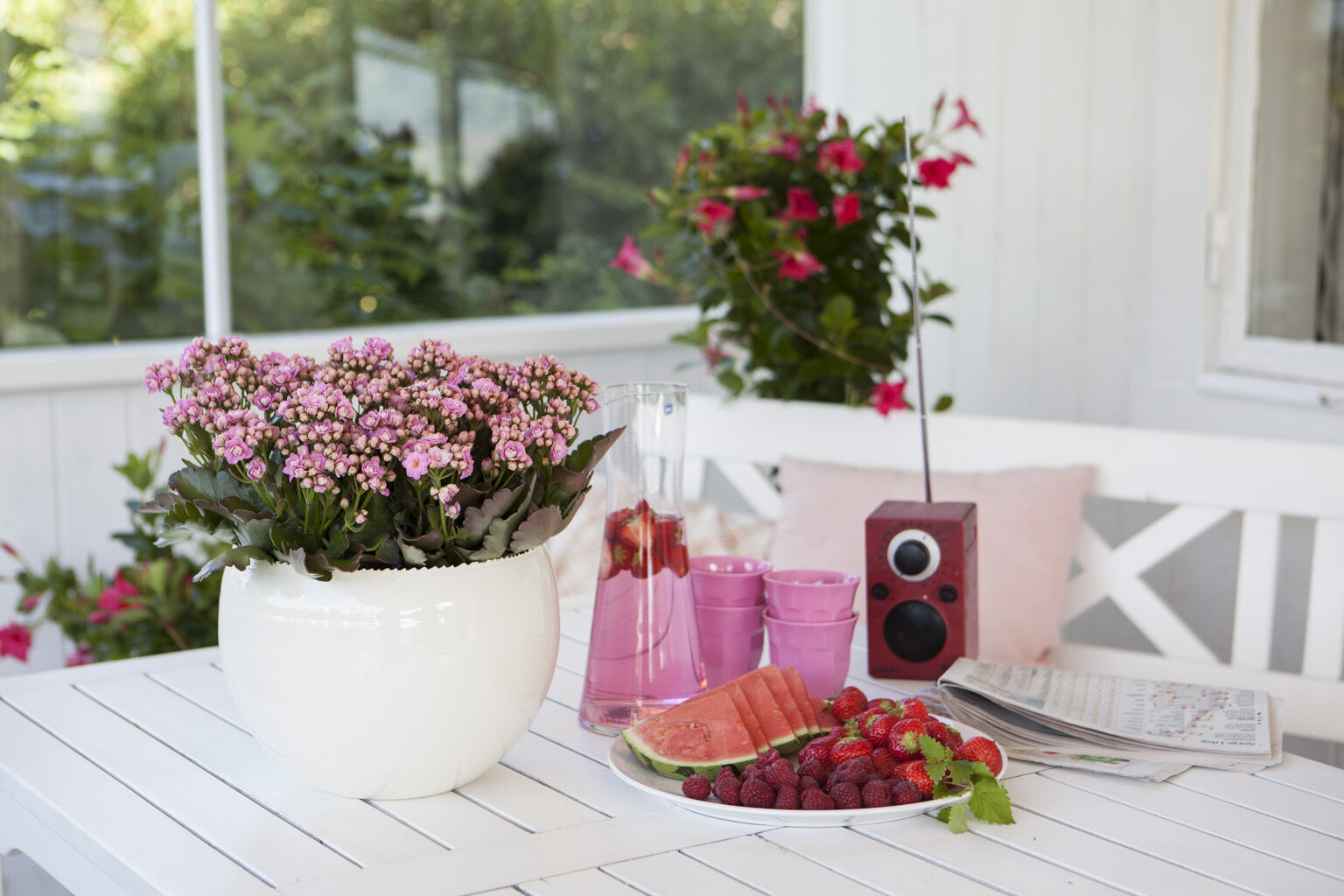 Ildtopp er en blomstrende sukkulent 