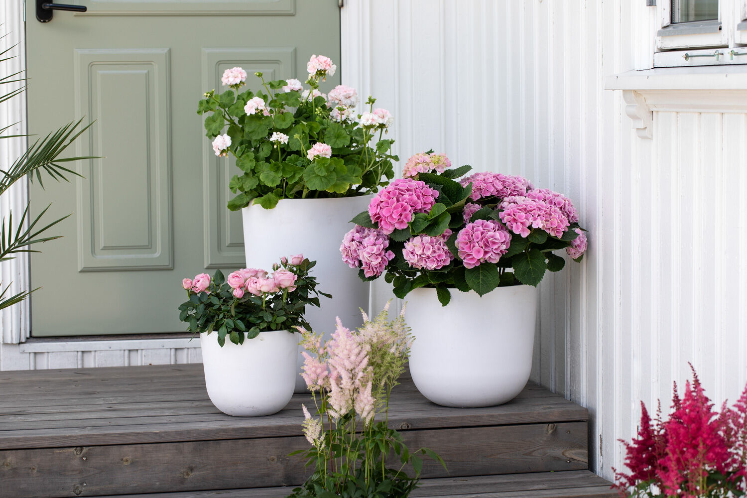 Ecopots