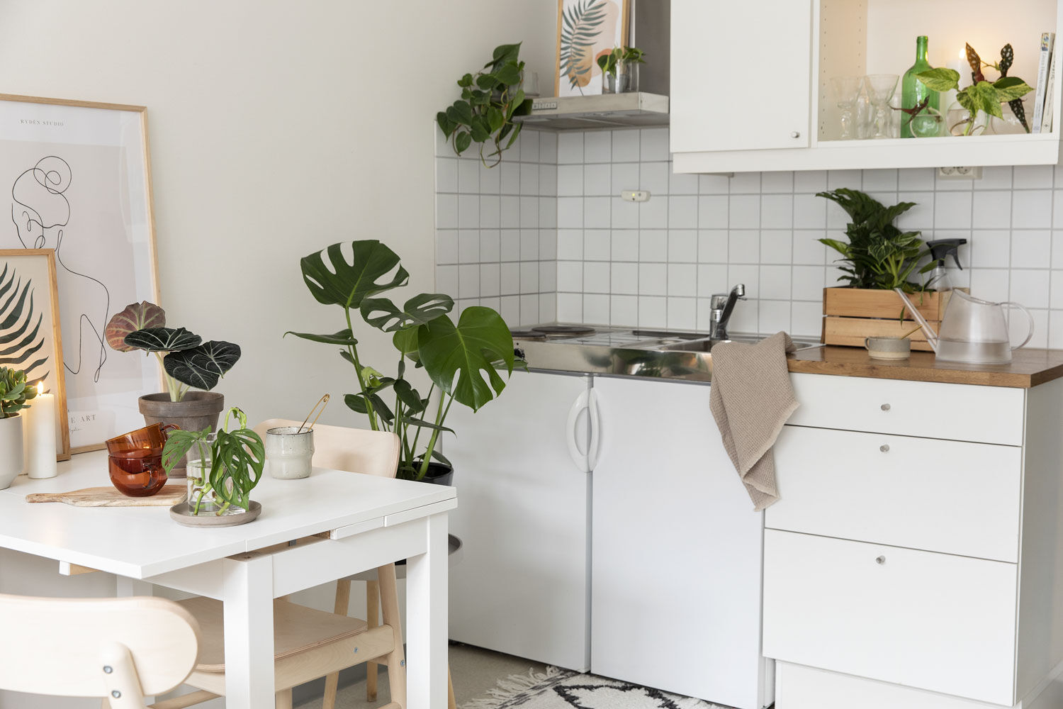 Gr&oslash;nne planter p&aring; hybel