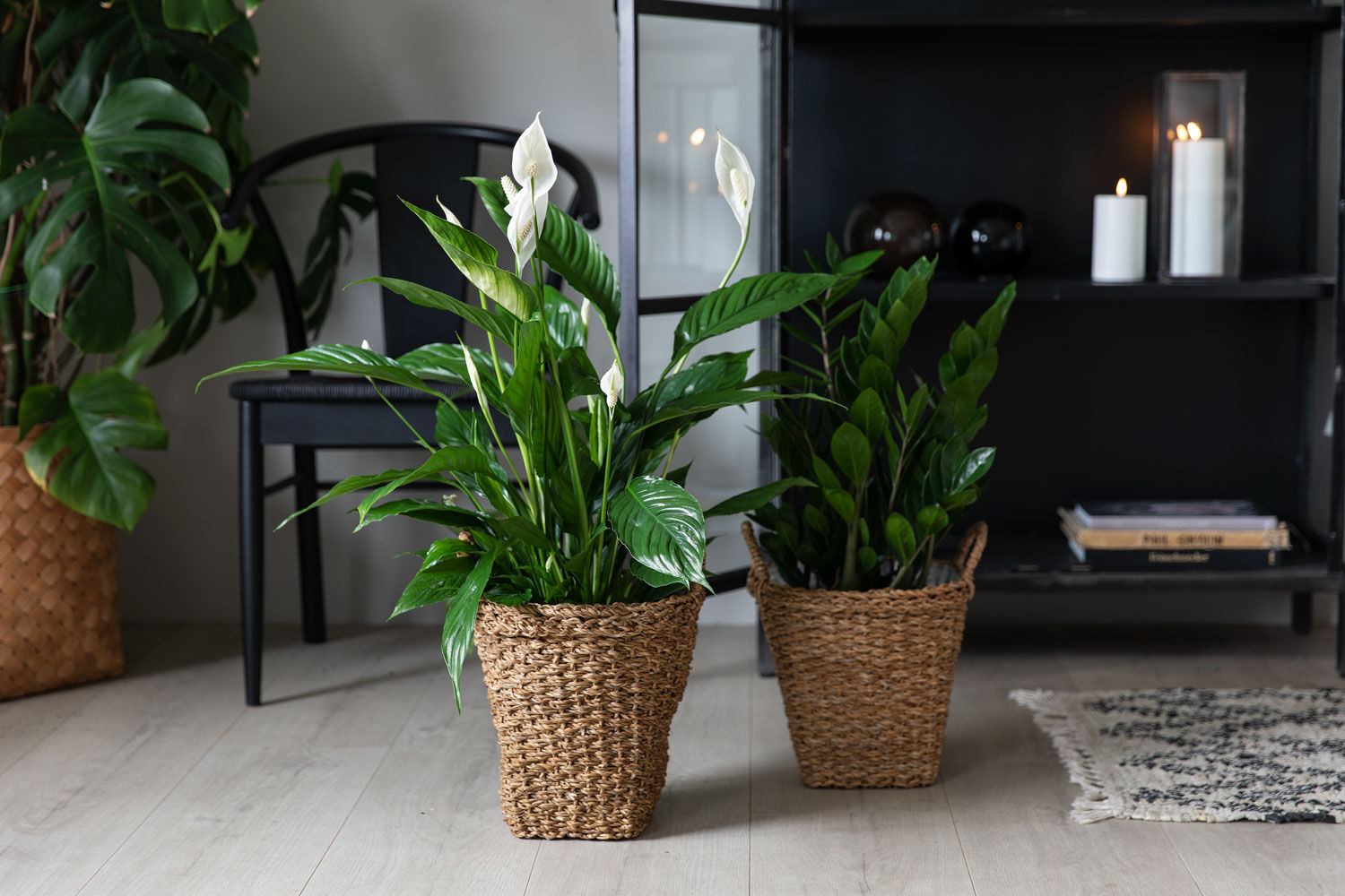 Gr&oslash;nne planter
