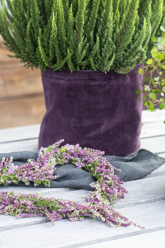 hjerte av lyng og calluna high five