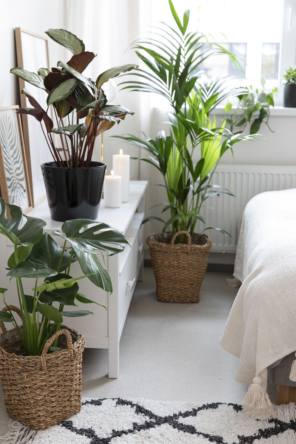 Gr&oslash;nne planter p&aring; hybel