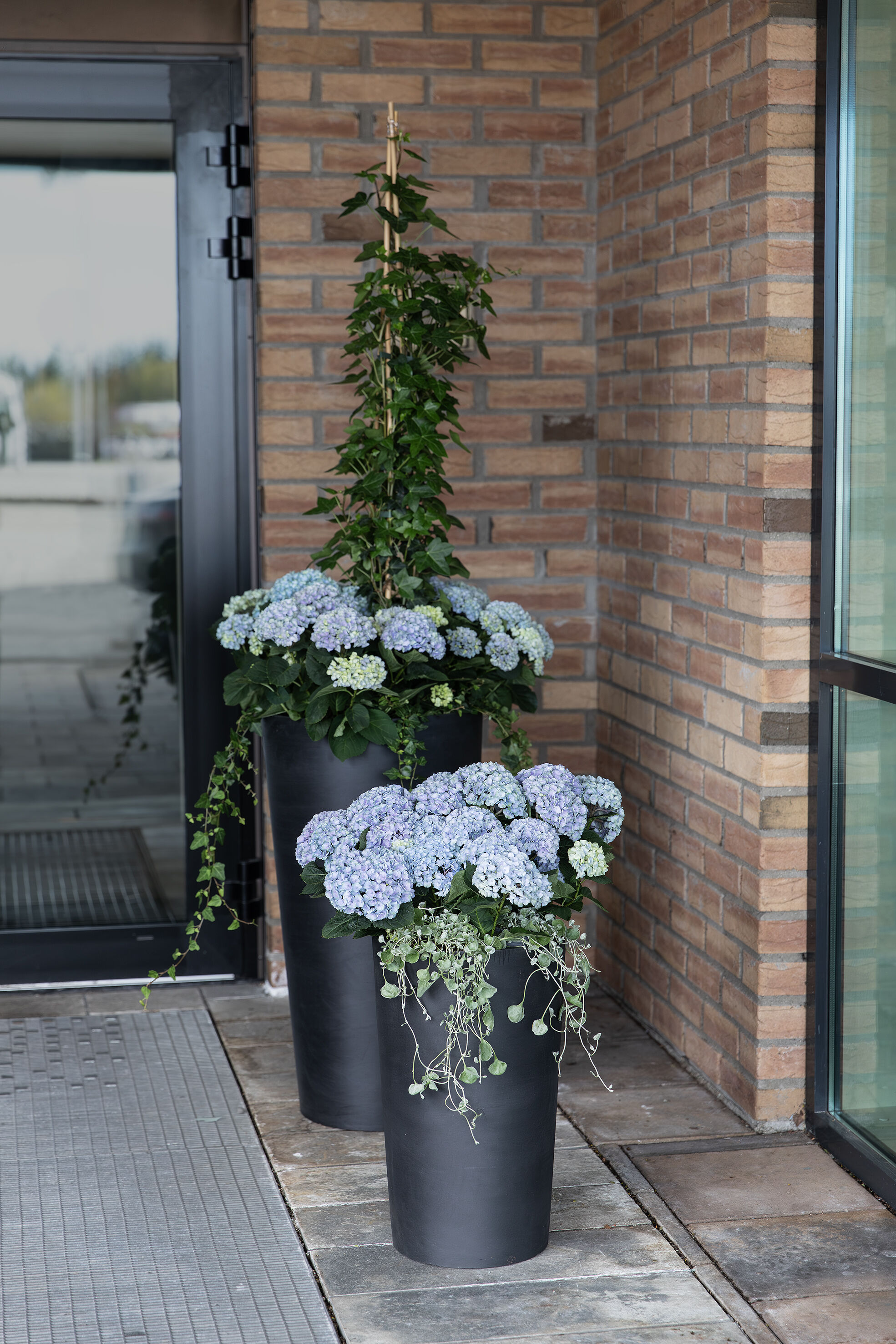 Blomstrende inngangsparti