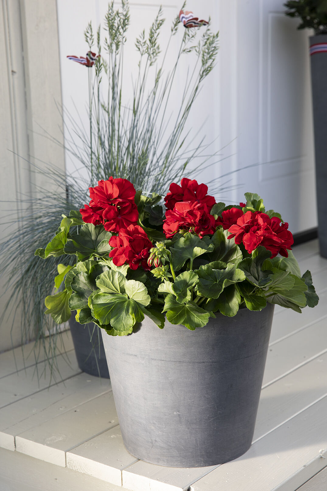 Blomster i inngangspartiet