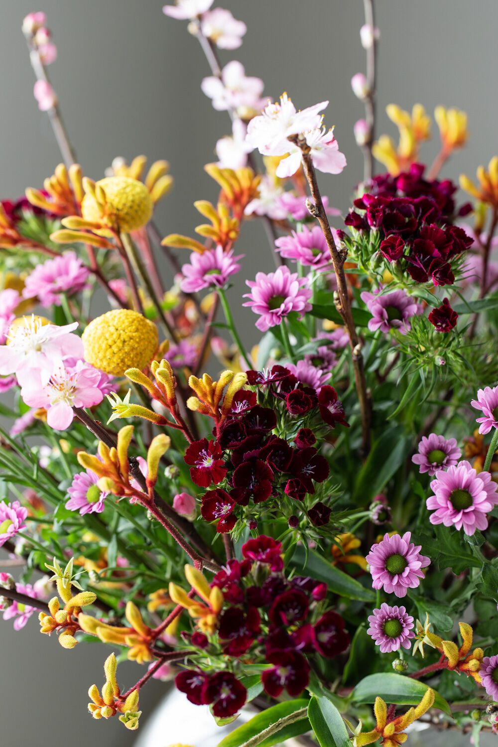 Blomstrende ferskengrener