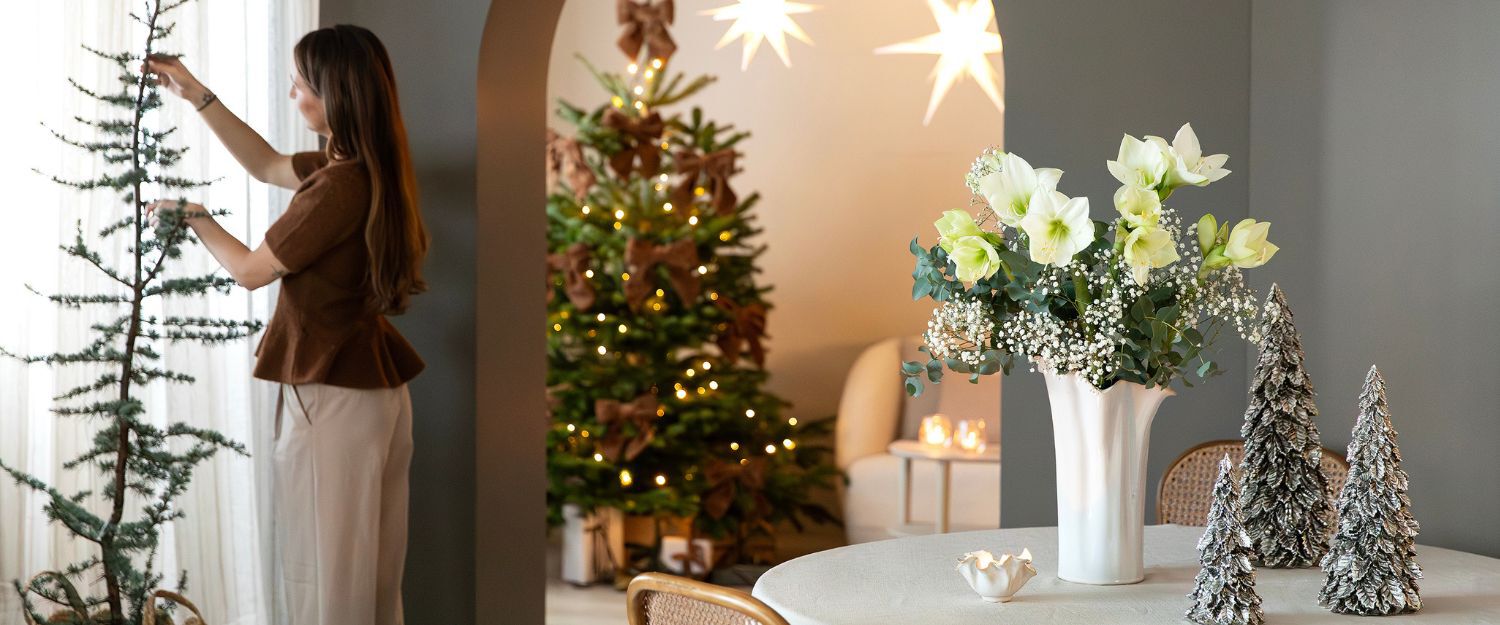 hvite juleblomster 