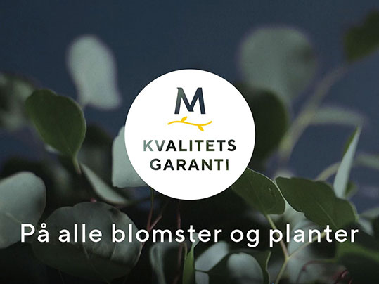 Kvalitetsgaranti p&aring; blomster og planter