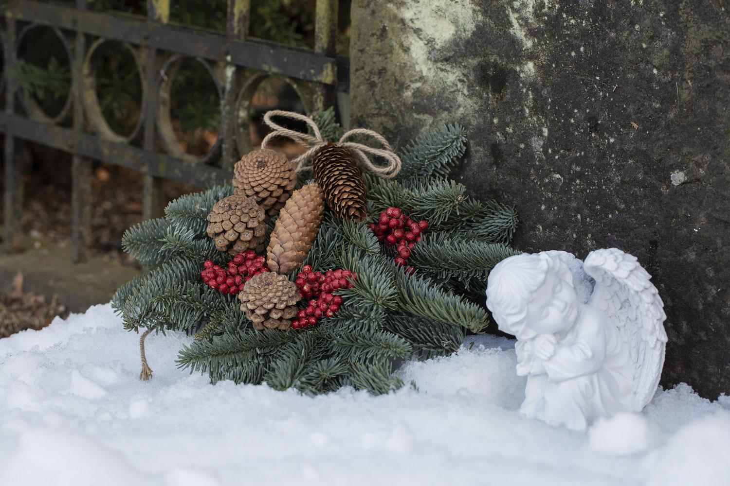 Barbunt p&aring; graven