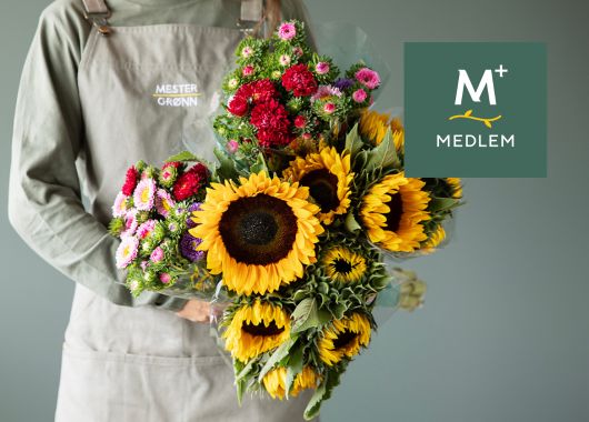 Solsikker og asters