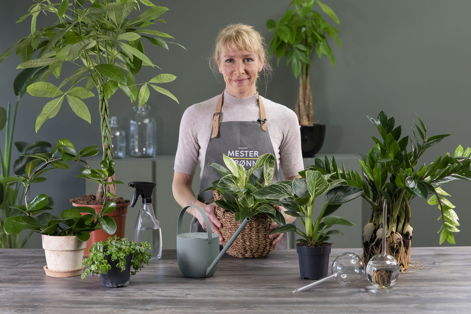 Slik lykkes du med gr&oslash;nne planter