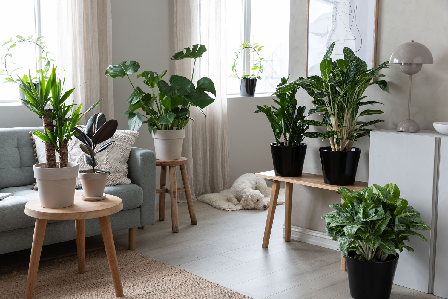Gr&oslash;nne planter