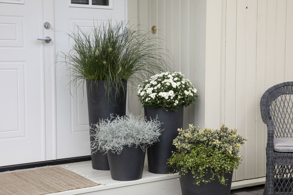 H&oslash;stblomster ved inngangspartiet