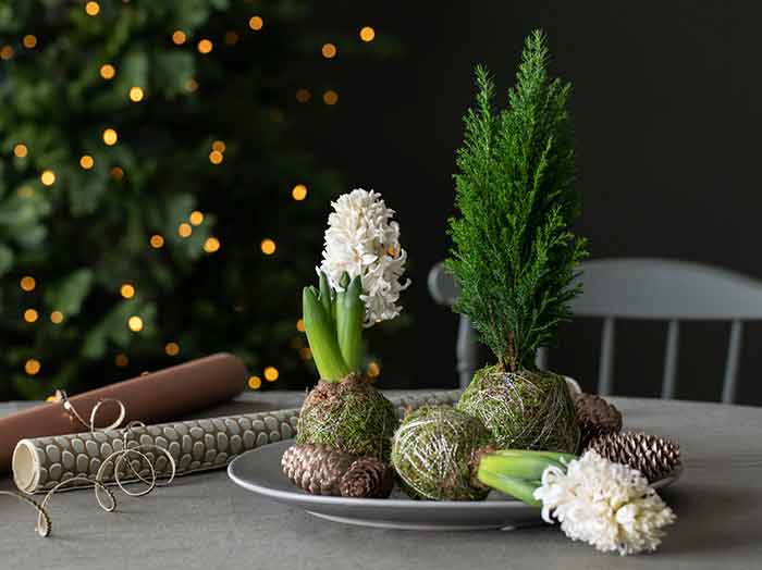 DIY: Pynt vintergr&oslash;nt med mose