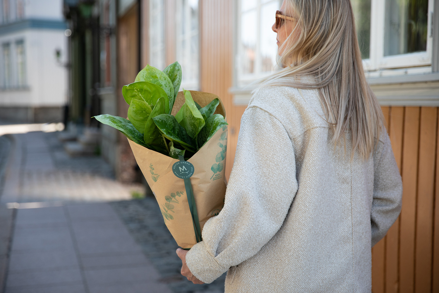 Gr&oslash;nn plante som gave