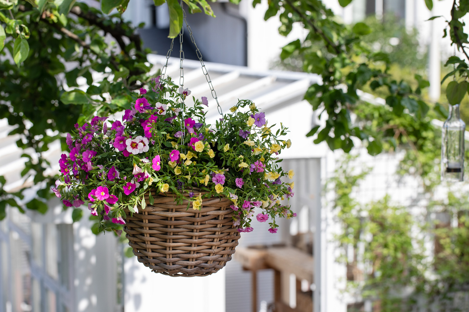 Ampel med sommerblomster