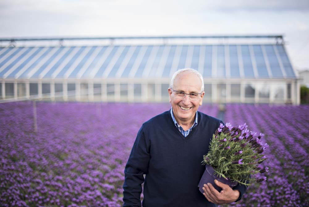 Produsent av lavendel