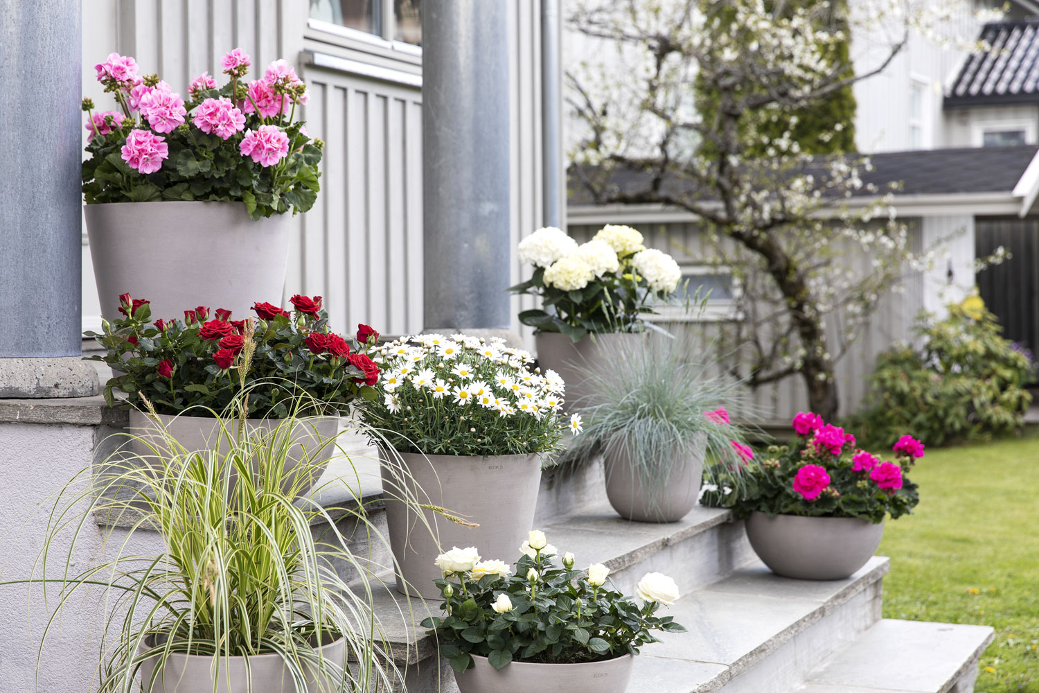 Blomster i inngangspartiet